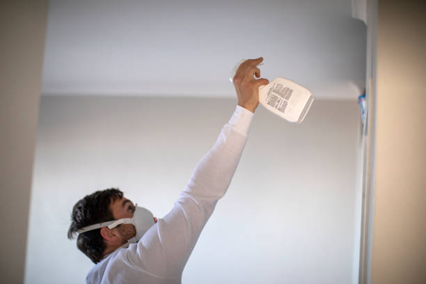 Best Mold Damage Repair  in Terryville, CT