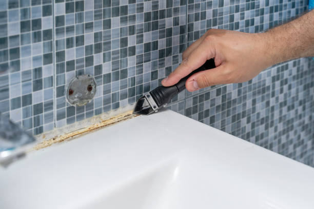 Office Mold Removal Services in Terryville, CT